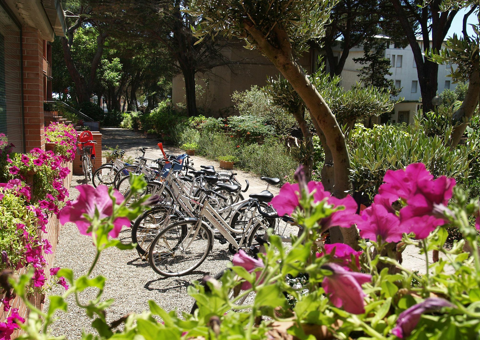 Ricci Hotel - Marina Di Grosseto Luaran gambar